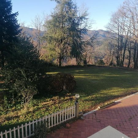 Le Camelie Villa Polverara Luaran gambar